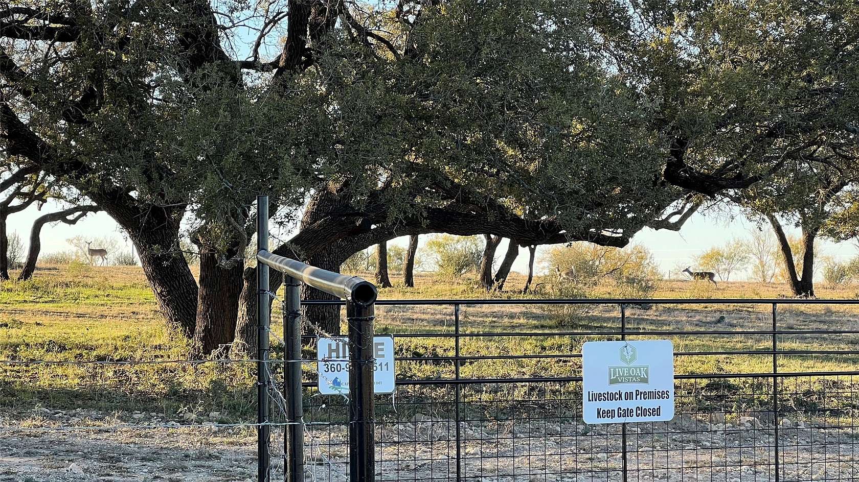 20 Acres of Land for Sale in Goldthwaite, Texas
