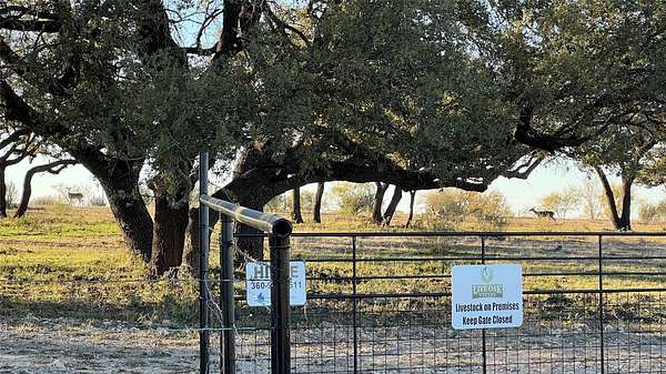 20 Acres of Land for Sale in Goldthwaite, Texas