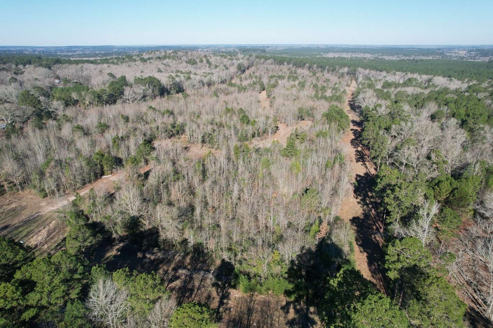 36.4 Acres of Recreational & Residential Land for Sale in Timpson, Texas