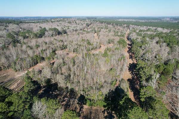 36.4 Acres of Recreational & Residential Land for Sale in Timpson, Texas