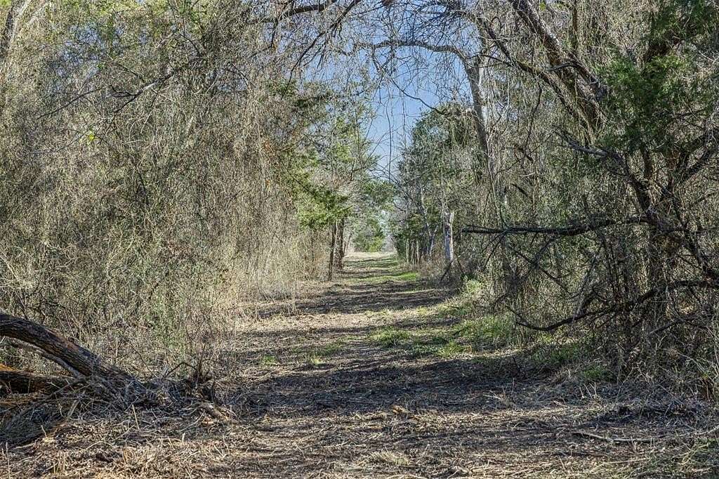 10 Acres of Recreational & Residential Land for Sale in Groesbeck, Texas