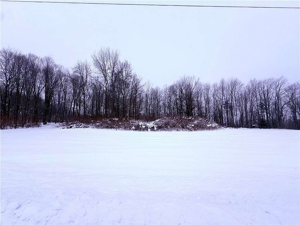 33.5 Acres of Land for Sale in Hunt, New York