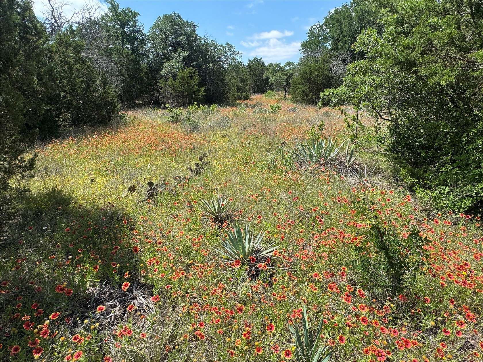 18 Acres of Land for Sale in Weatherford, Texas