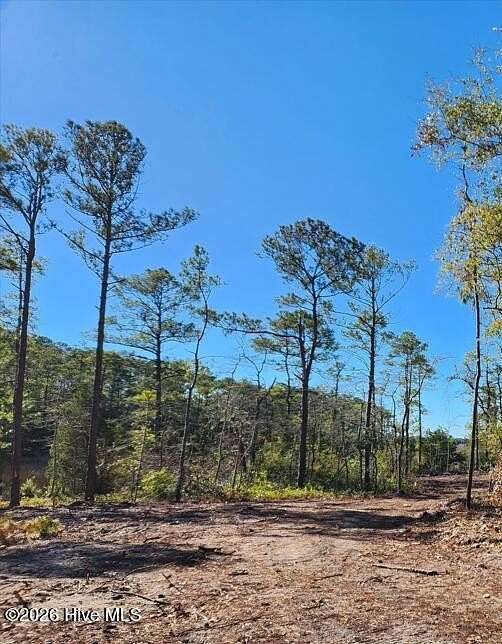 0.56 Acres of Residential Land for Sale in Southport, North Carolina