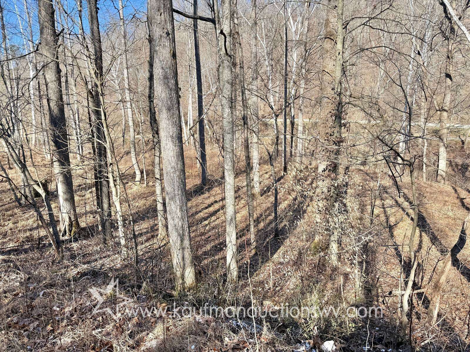 29.6 Acres of Recreational Land for Auction in Genoa, West Virginia
