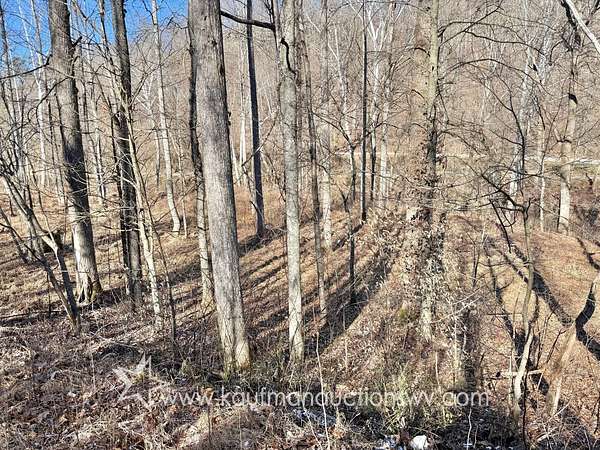 29.6 Acres of Recreational Land for Auction in Genoa, West Virginia