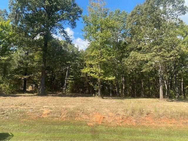 3.21 Acres of Residential Land for Sale in Leesburg, Texas