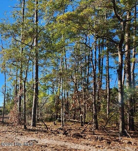 0.27 Acres of Residential Land for Sale in Southport, North Carolina