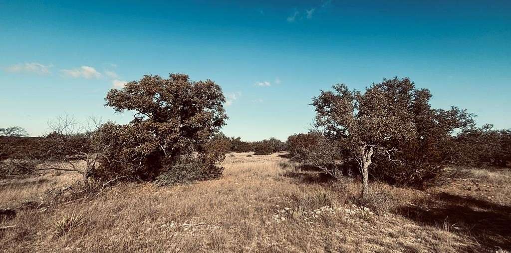 36 Acres of Recreational Land for Sale in Eldorado, Texas