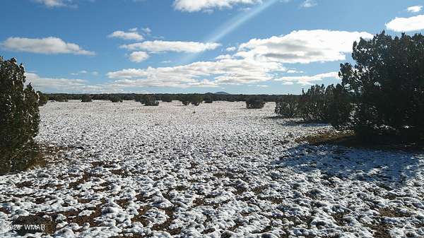 2.49 Acres of Residential Land for Sale in Snowflake, Arizona