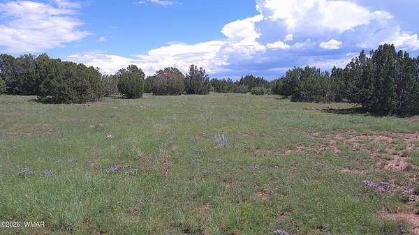 2.49 Acres of Residential Land for Sale in Snowflake, Arizona