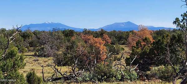 40 Acres of Recreational Land for Sale in Williams, Arizona