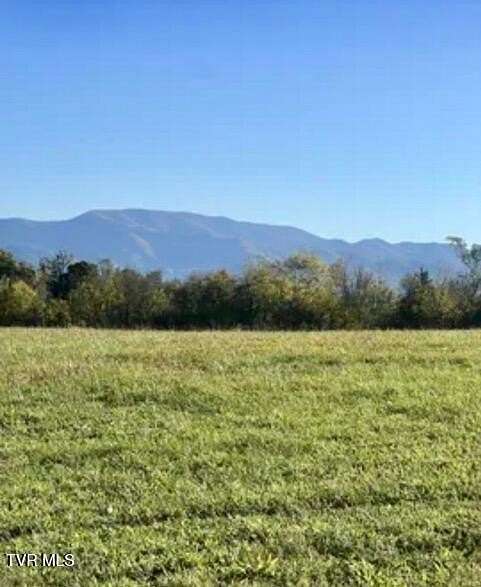 8.17 Acres of Land for Sale in Limestone, Tennessee