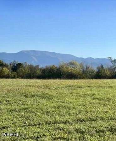 8.17 Acres of Land for Sale in Limestone, Tennessee