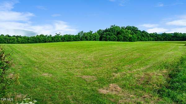 8.17 Acres of Land for Sale in Limestone, Tennessee