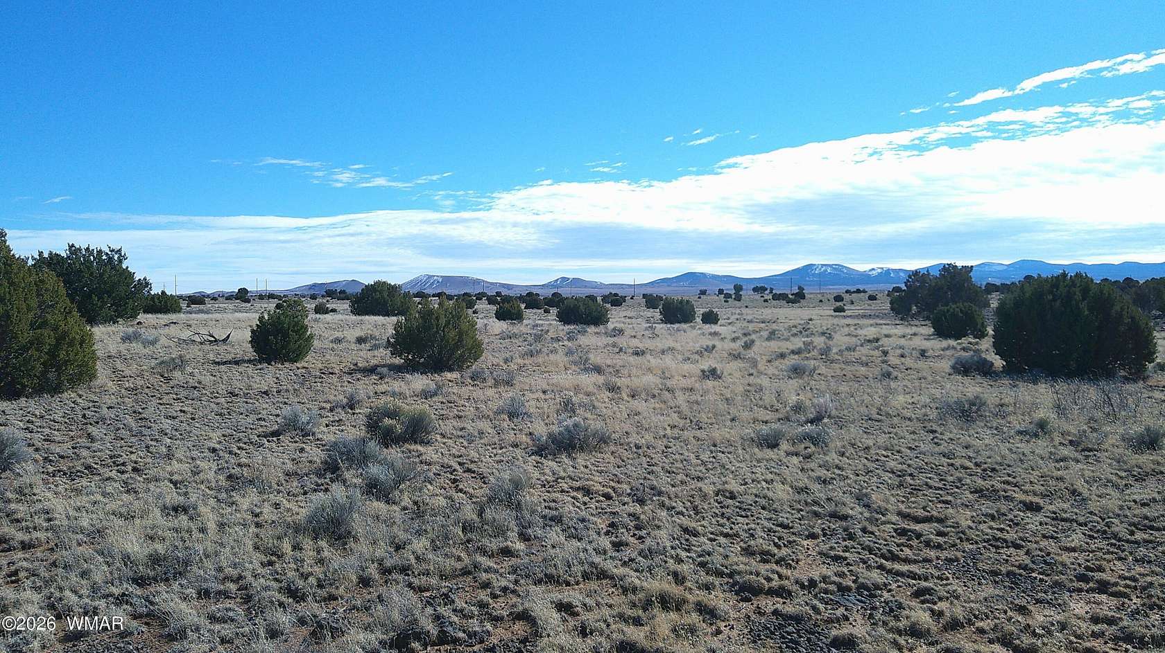 36.5 Acres of Land for Sale in Concho, Arizona