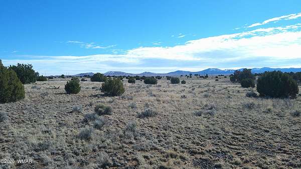 36.5 Acres of Land for Sale in Concho, Arizona