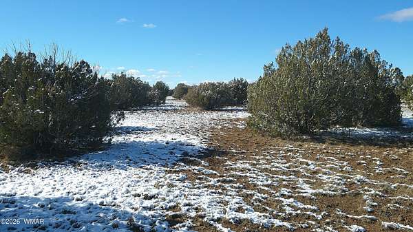 2.49 Acres of Residential Land for Sale in Snowflake, Arizona