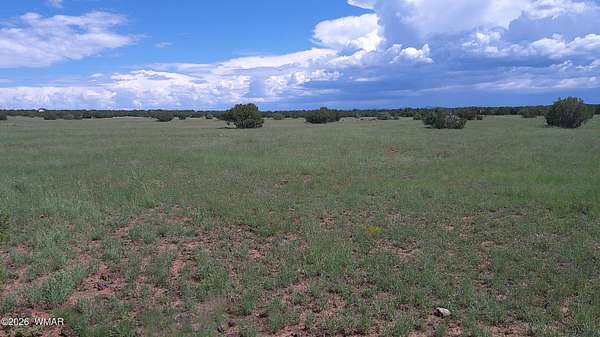 2.49 Acres of Residential Land for Sale in Snowflake, Arizona