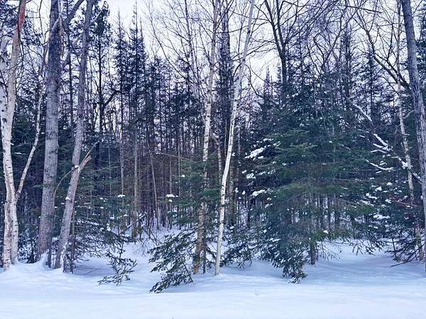0.5 Acres of Residential Land for Sale in Presque Isle, Michigan