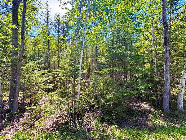 0.5 Acres of Residential Land for Sale in Presque Isle, Michigan