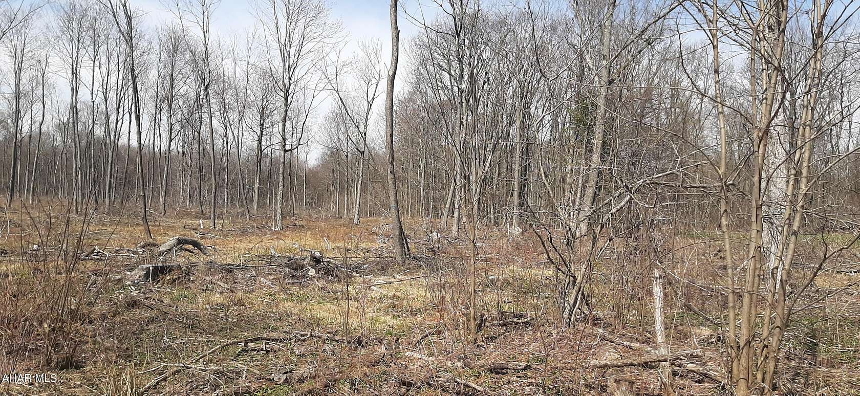 6.5 Acres of Residential Land for Sale in Gallitzin, Pennsylvania