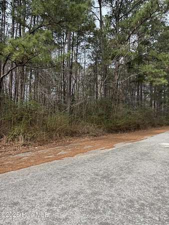 0.2 Acres of Residential Land for Sale in Jacksonville, North Carolina