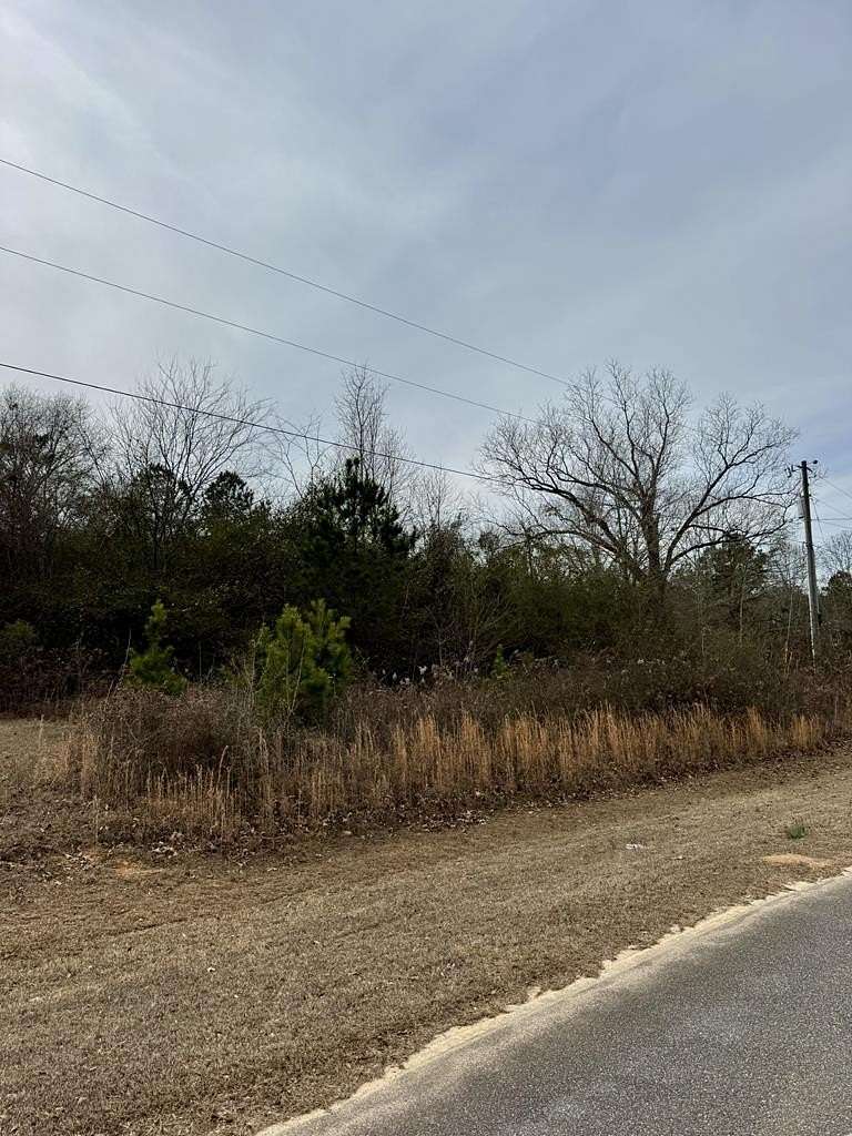 Residential Land for Sale in Sandersville, Georgia