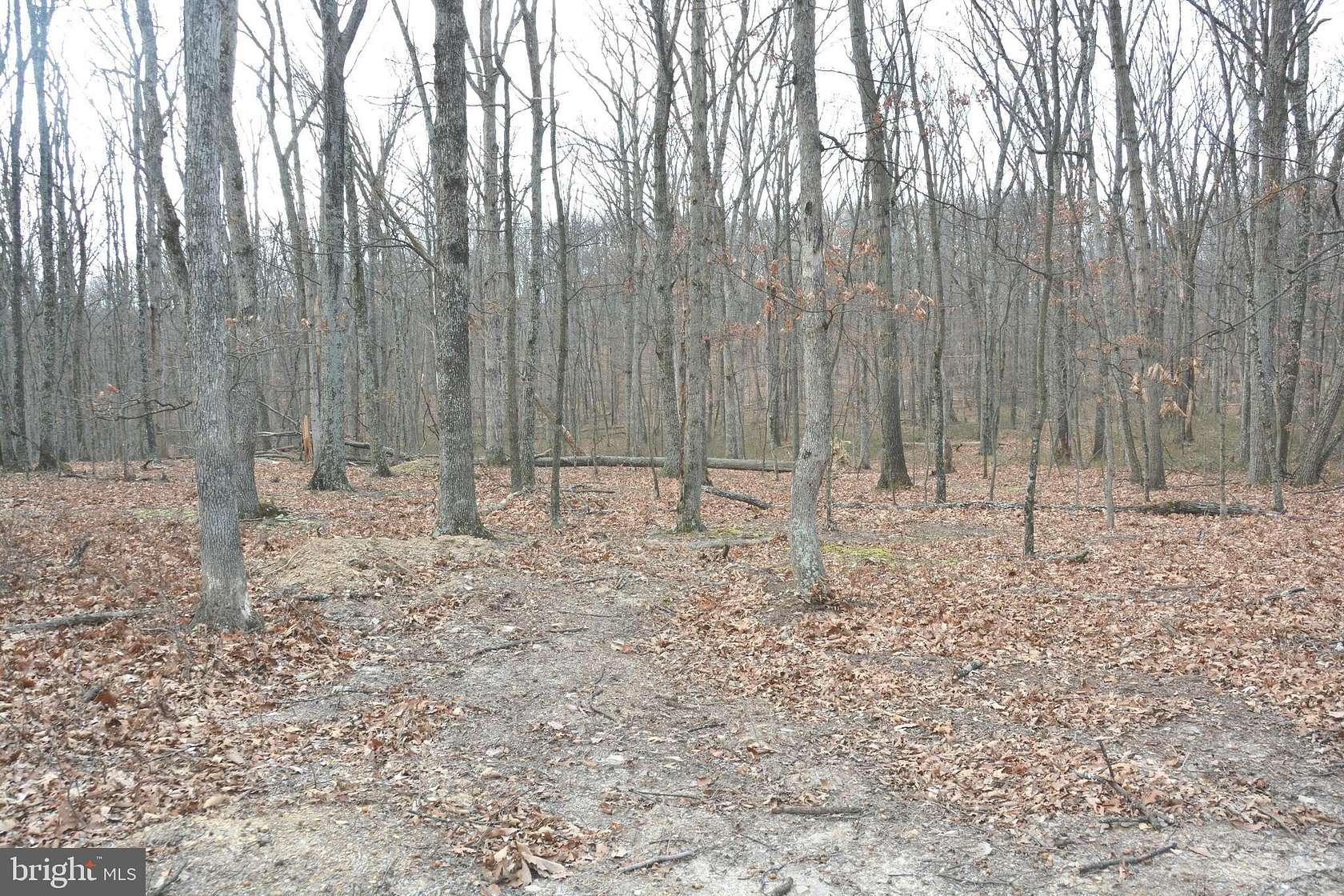 7.1 Acres of Residential Land for Sale in Cross Junction, Virginia