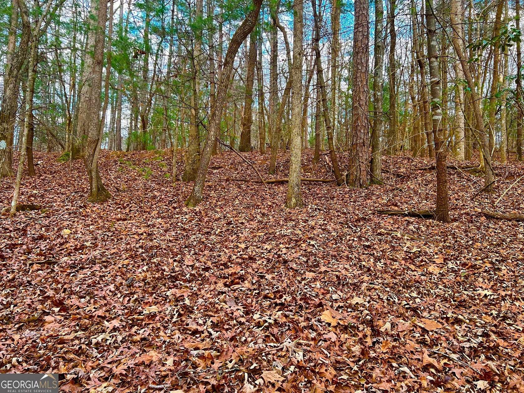 0.5 Acres of Residential Land for Sale in Ellijay, Georgia