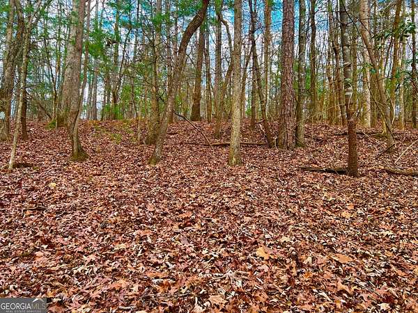 0.5 Acres of Residential Land for Sale in Ellijay, Georgia