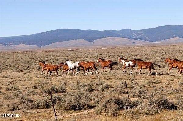 10 Acres of Recreational Land for Sale in Sierra Blanca, Texas