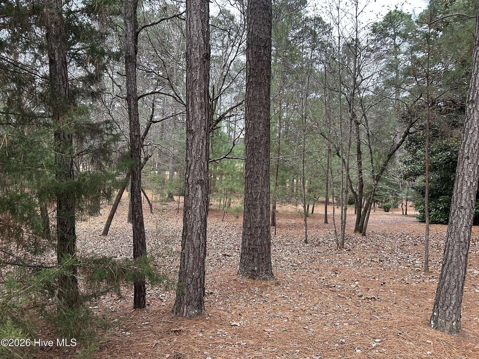 0.75 Acres of Residential Land for Sale in Pinehurst, North Carolina