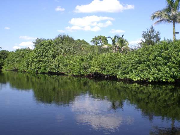 2.7 Acres of Residential Land for Sale in Port Charlotte, Florida