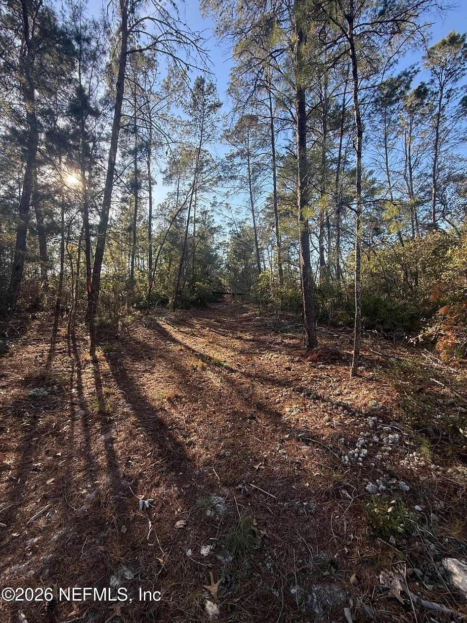 1 Acre of Land for Sale in Florahome, Florida