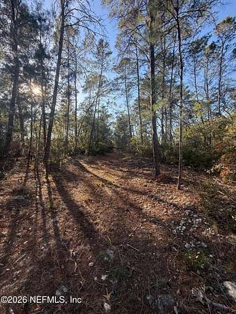 1 Acre of Land for Sale in Florahome, Florida