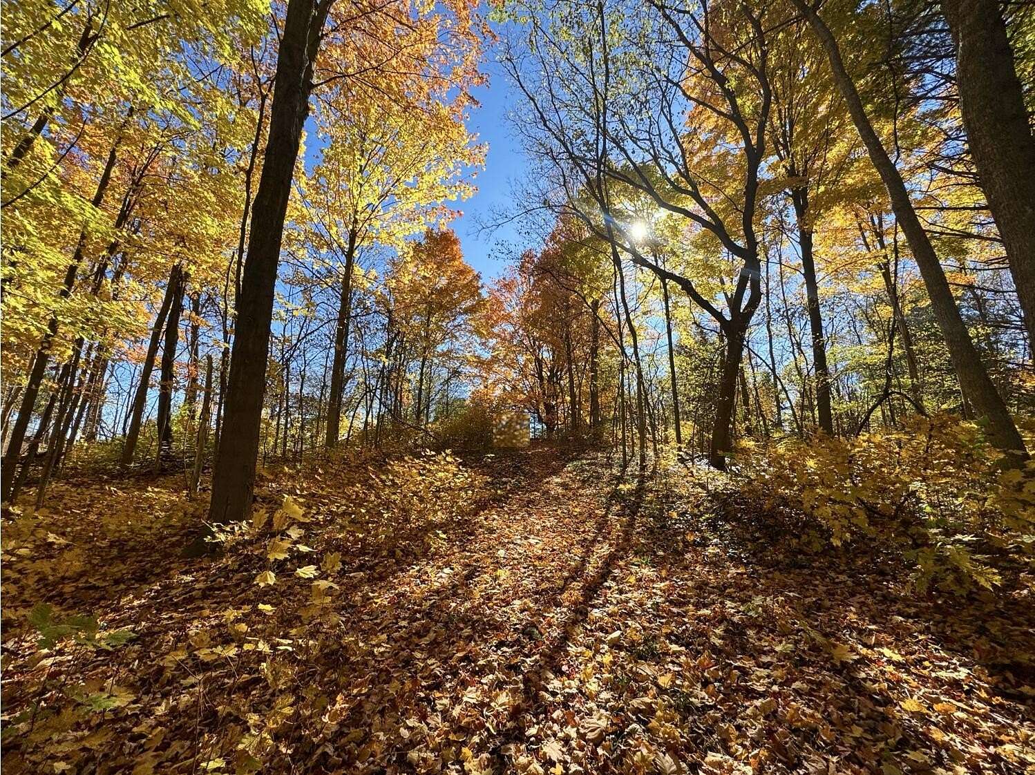 2.73 Acres of Residential Land for Sale in Caledonia, Michigan