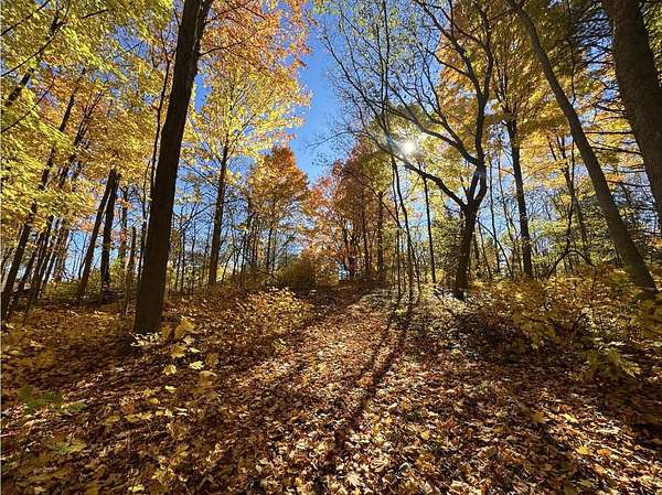 2.73 Acres of Residential Land for Sale in Caledonia, Michigan