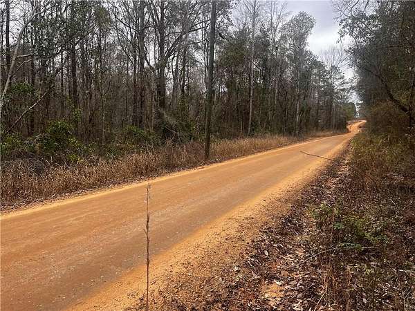 2.5 Acres of Land for Sale in Seale, Alabama