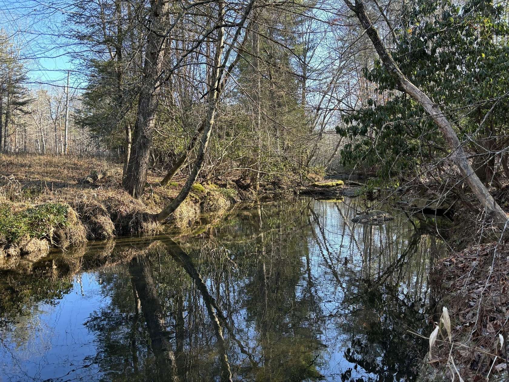 27.4 Acres of Recreational Land for Sale in Dayton, Tennessee