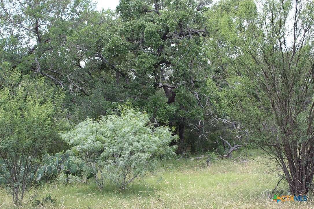 15 Acres of Land for Sale in Kingsbury, Texas
