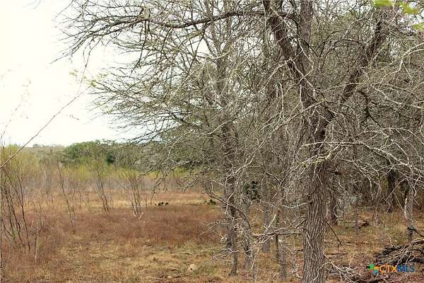 15 Acres of Land for Sale in Kingsbury, Texas