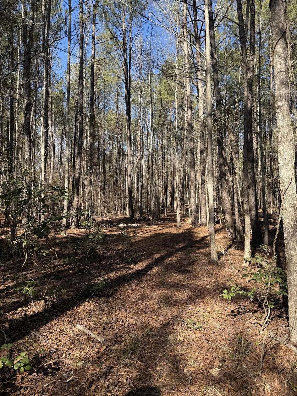 5.74 Acres of Residential Land for Sale in Rembert, South Carolina