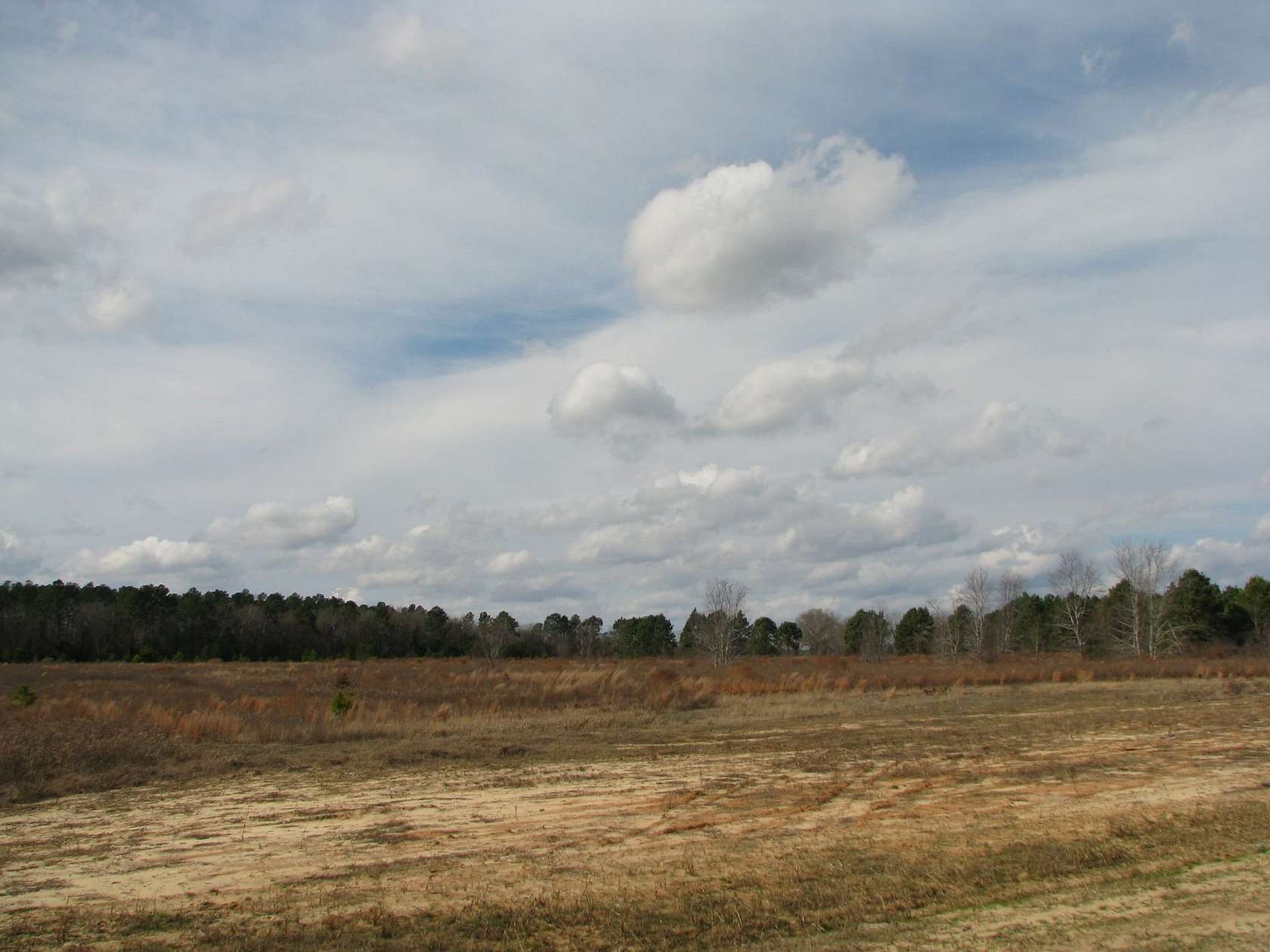 32 Acres of Land for Sale in Dalzell, South Carolina
