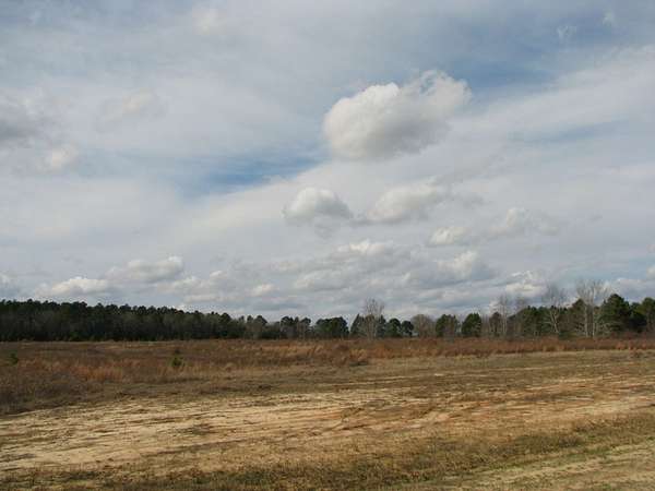 32 Acres of Land for Sale in Dalzell, South Carolina