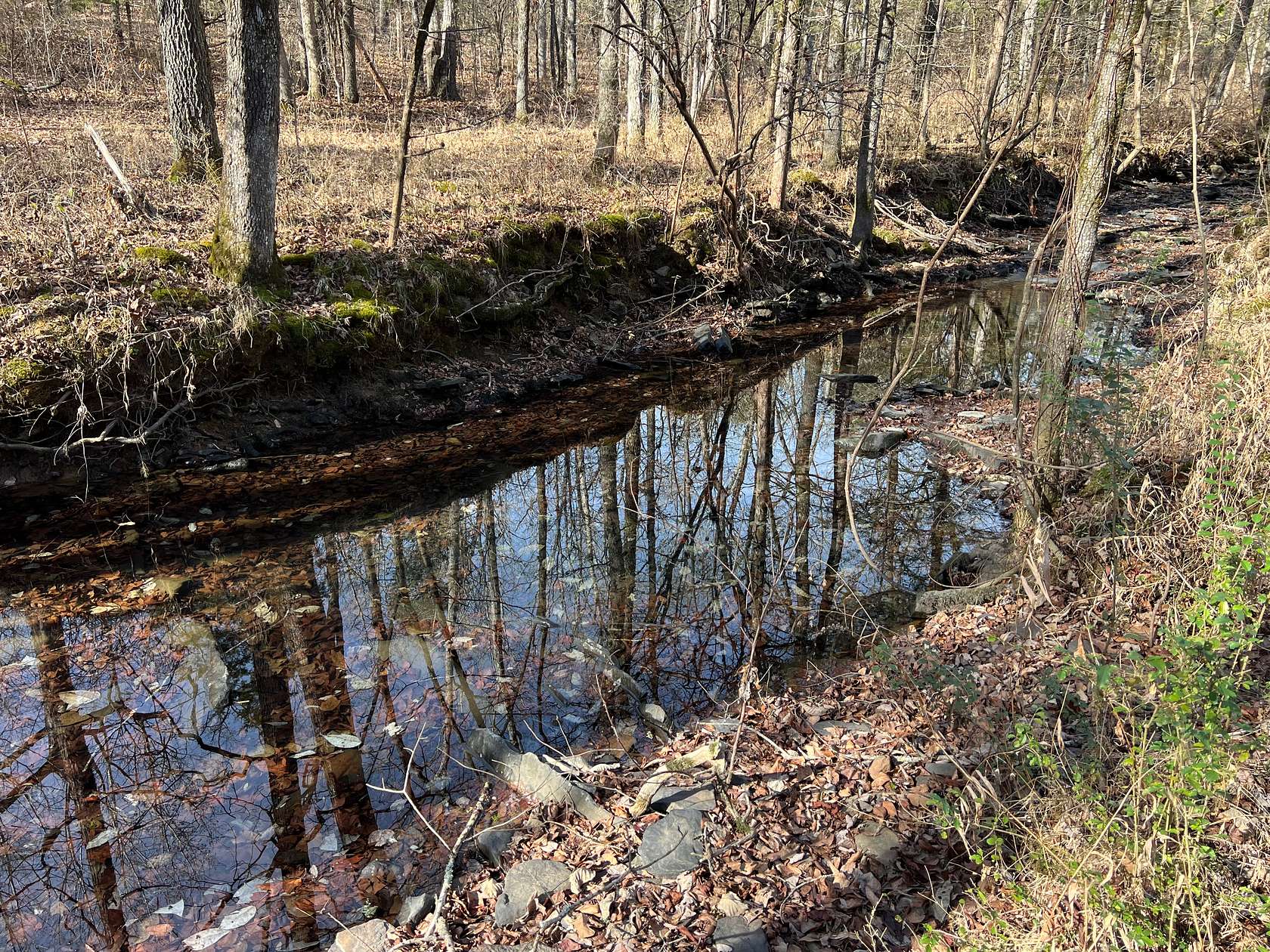 40.8 Acres of Land for Sale in McRae, Arkansas