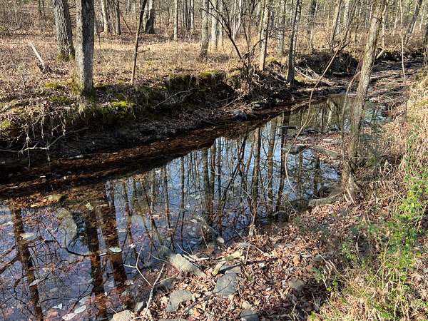 40.8 Acres of Land for Sale in McRae, Arkansas