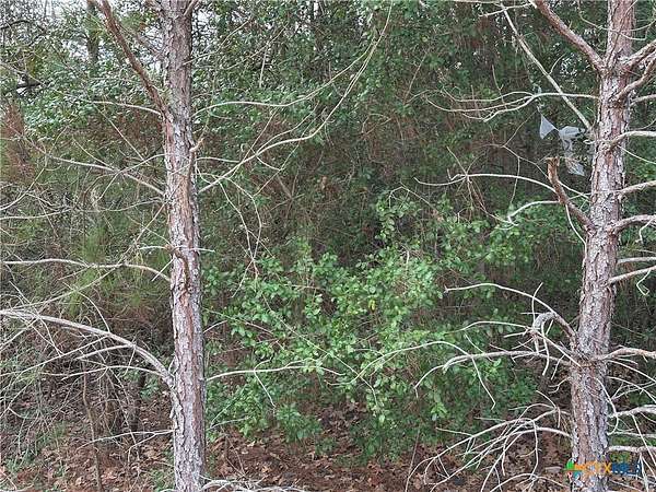 0.87 Acres of Land for Sale in Bastrop, Texas
