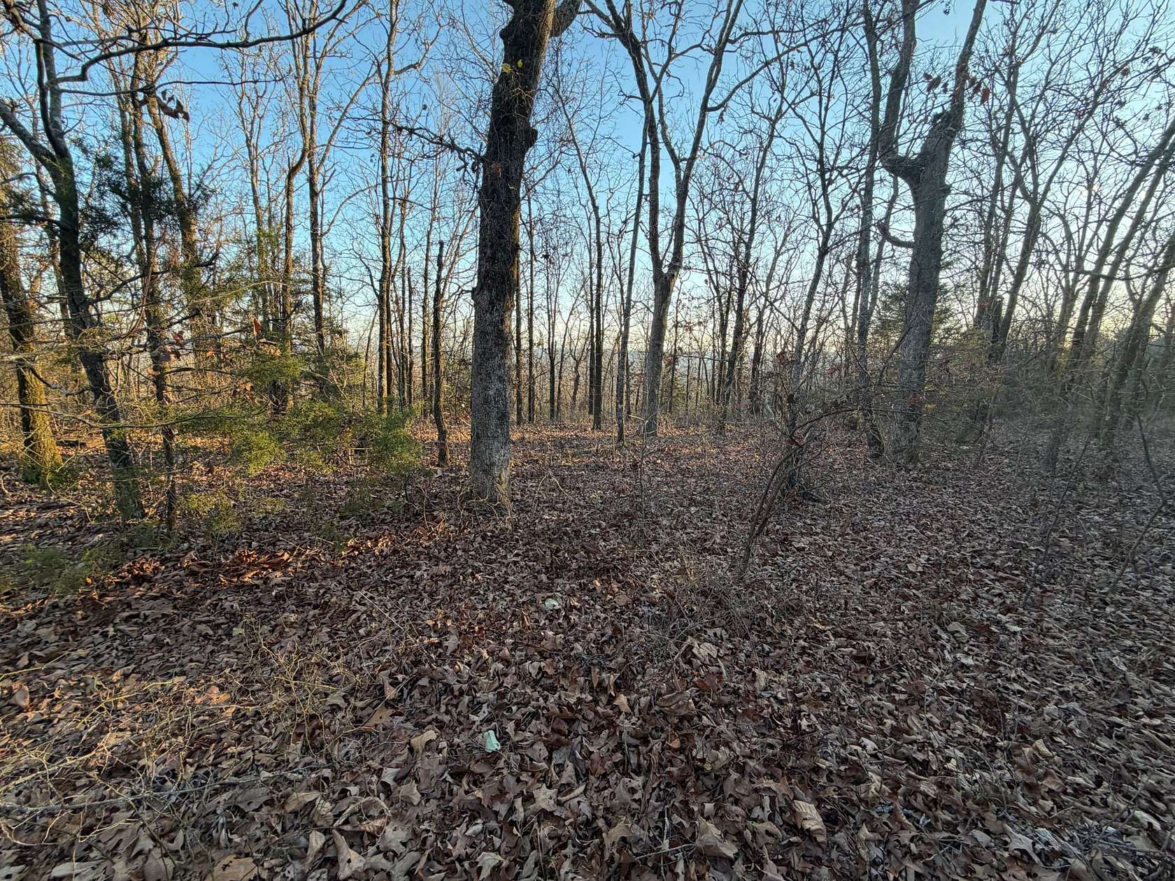 40 Acres of Recreational Land for Sale in Danville, Arkansas