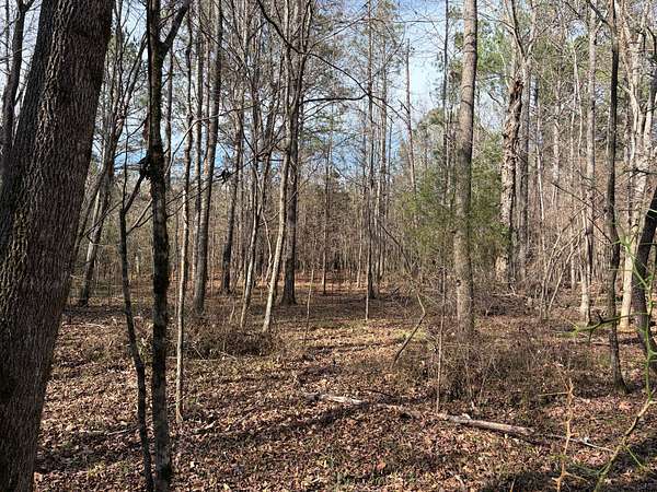 15.5 Acres of Land for Sale in Letohatchee, Alabama